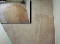 Steam Cleaning Process - Stage 3 -